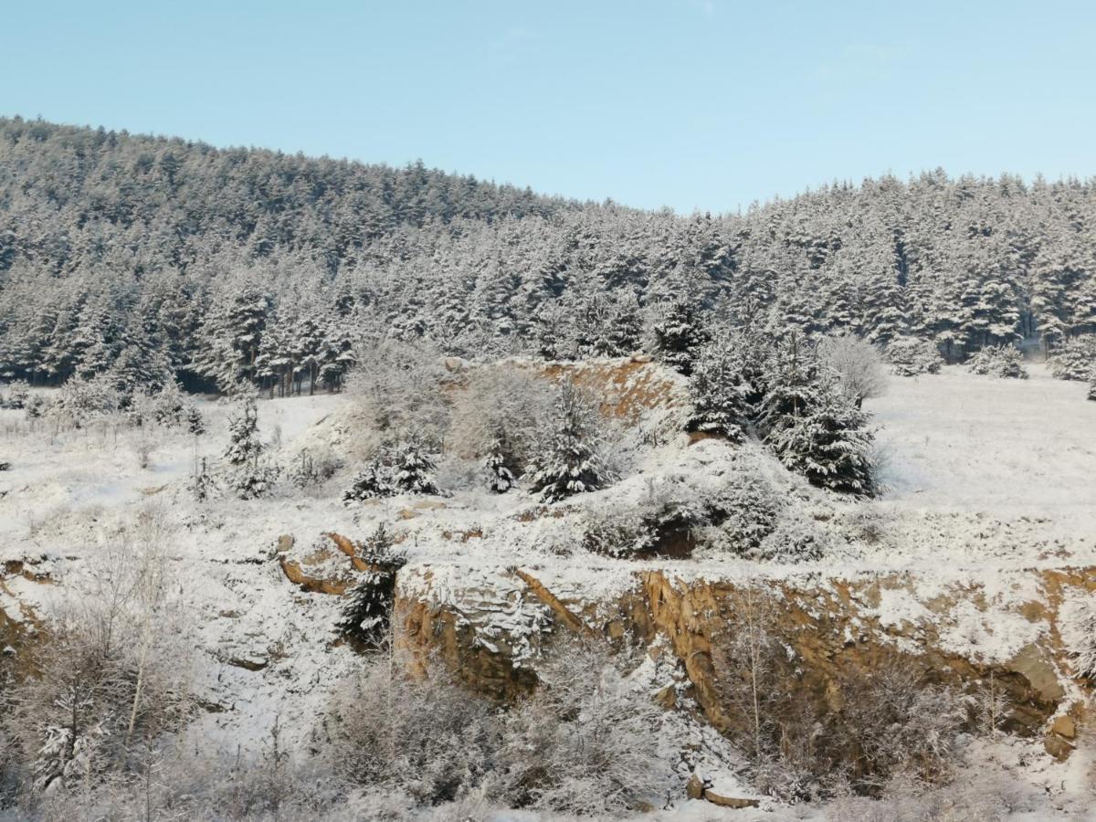 Арт Мезонет Salem Lejlighed Velingrad Eksteriør billede
